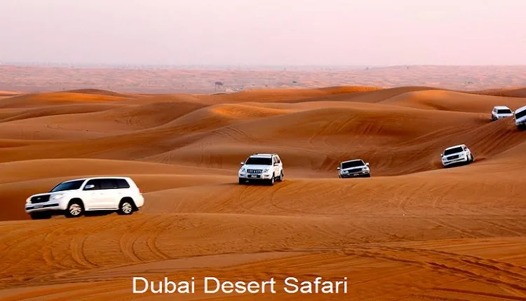 Dubai Desert Safari Dhow Cruise
