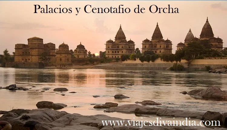 Orcha