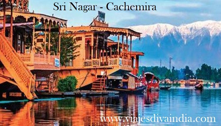 Sri Nagar-cachemira-India