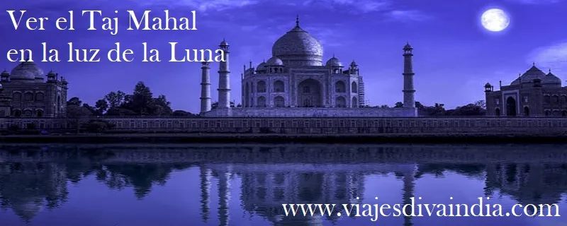 Taj Mahal en la luz de la luna